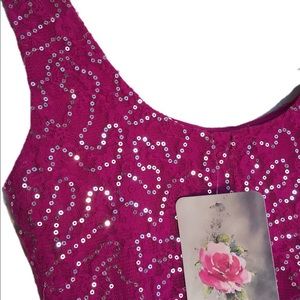NWT Lily Rose sparkling minidress